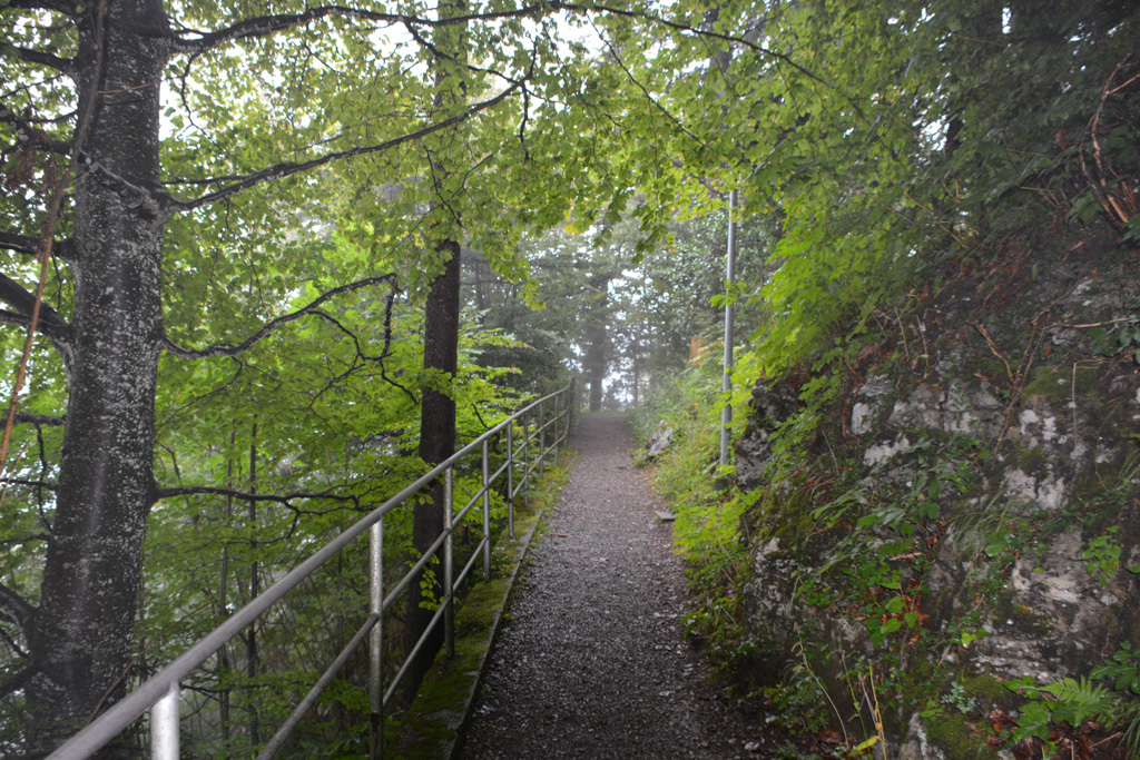 wegderschweiz0714_ wegderschweiz0714_