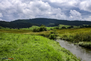 Moorwanderung Biberbrugg nach Rothenthurm